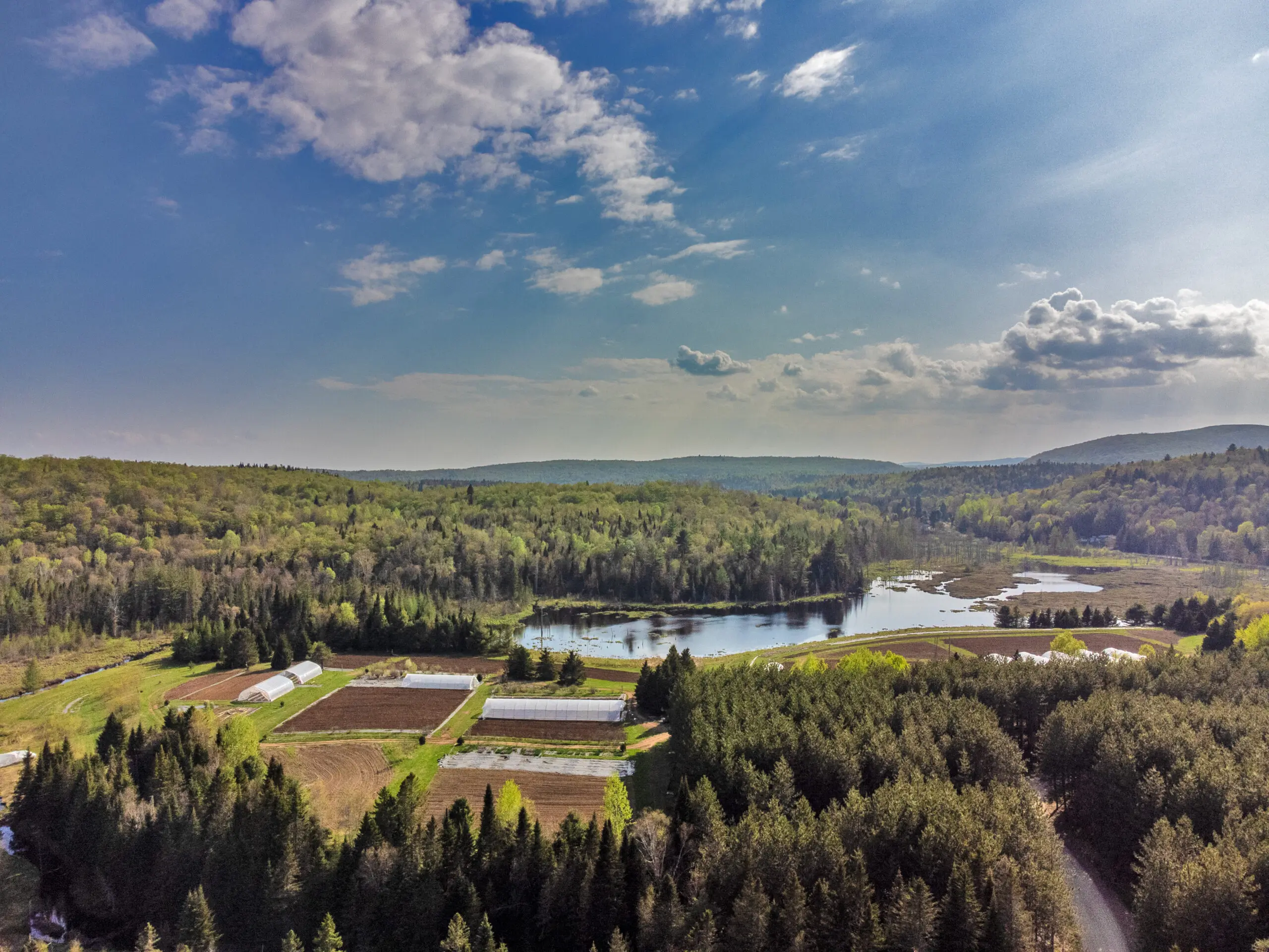 Découvrez une vue aérienne éblouissante des Jardins de l'Écoumène, capturée en HDR à la fin du printemps. Cette image, baignée de couleurs jaunes et vertes vibrantes, révèle un paysage luxuriant et verdoyant sous la lumière douce de la fin d'après-midi. Au centre, un petit lac ajoute une touche de sérénité, reflétant le ciel et la végétation environnante. Les détails rehaussés par la technique HDR permettent d'apprécier pleinement la richesse et la profondeur des couleurs, créant une scène vivante et apaisante qui illustre parfaitement la splendeur de cette période de l'année.