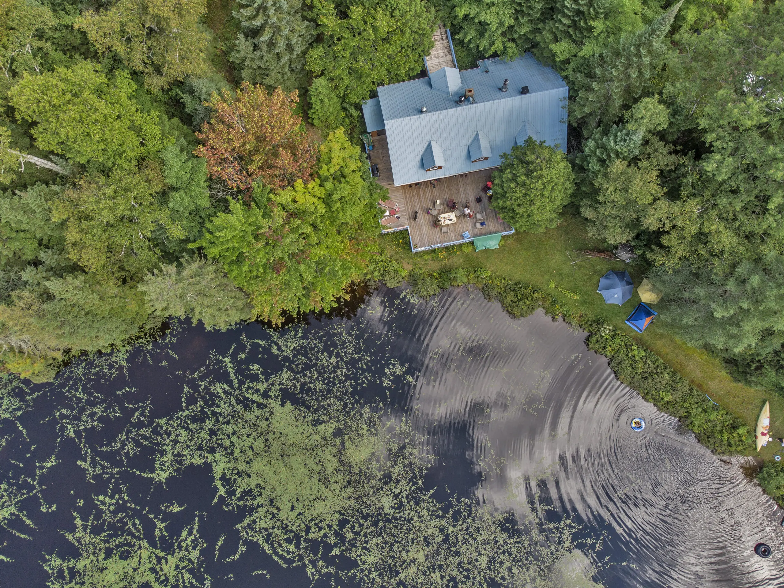 Admirez une vue aérienne d'un chalet pittoresque dans Lanaudière, près d'un lac parsemé de nénuphars, capturée par drone.